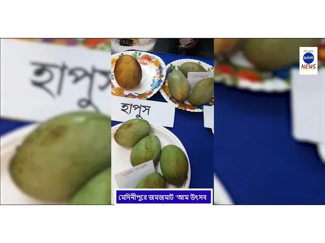 WhatsApp Image 2025-06-18